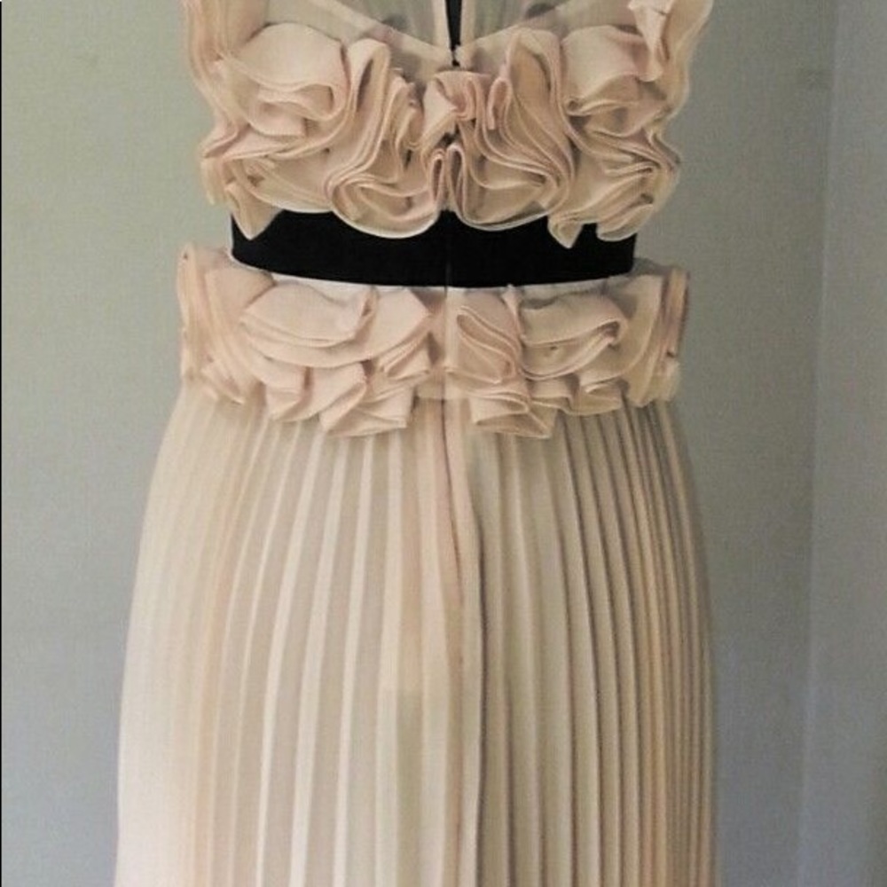 BCBG Max Azria Safina dress, size 0, worn once - Picture 3 of 7